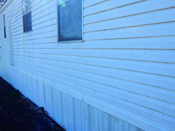 Vinyl siding cleaning