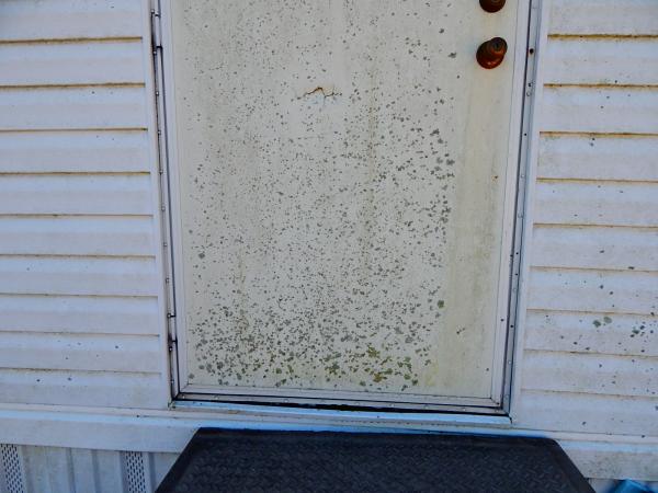 Mobile home mildew