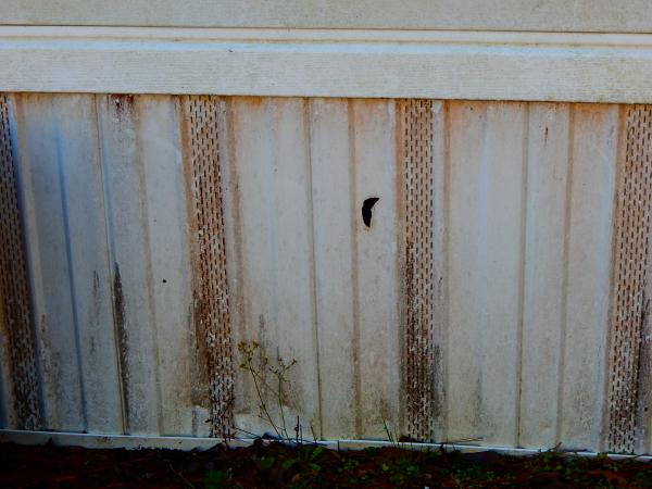 Mobile home skirting cleaning